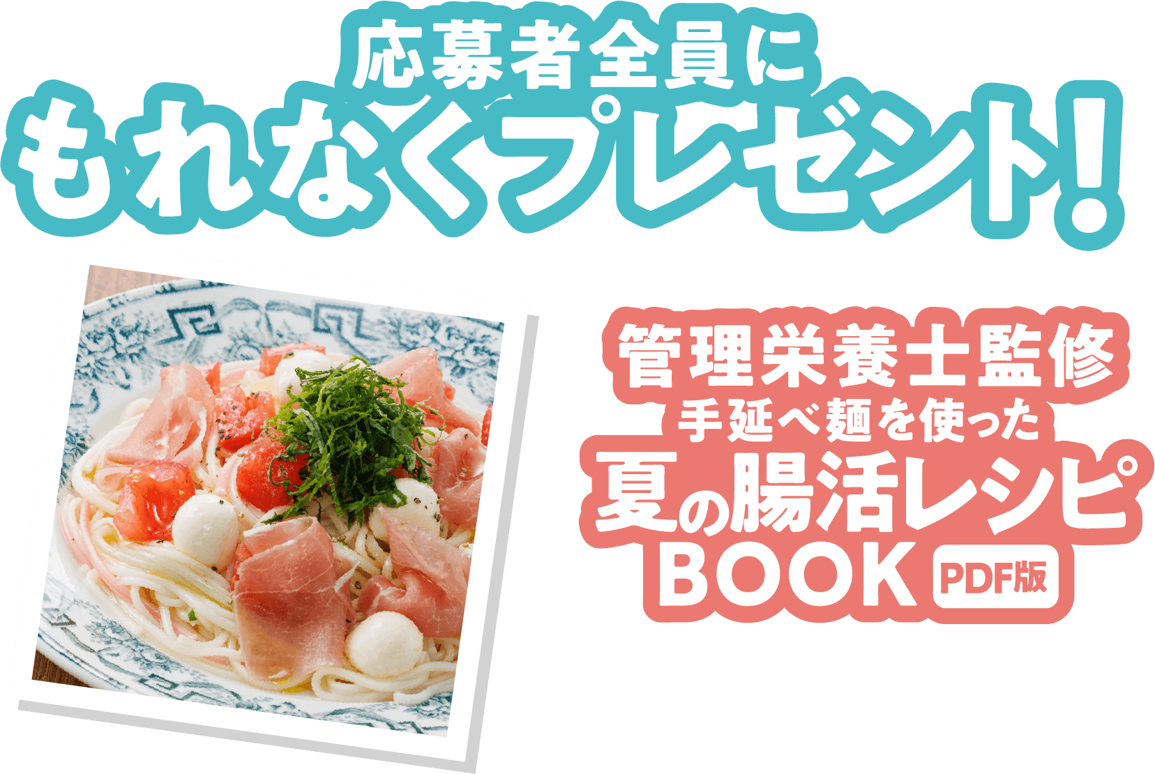 応募者全員にもれなくプレゼント！管理栄養士監修手延べ麺を使った夏の腸活レシピBOOK（PDF版）